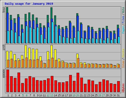 Daily usage for January 2019