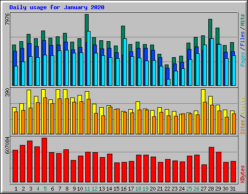 Daily usage for January 2020