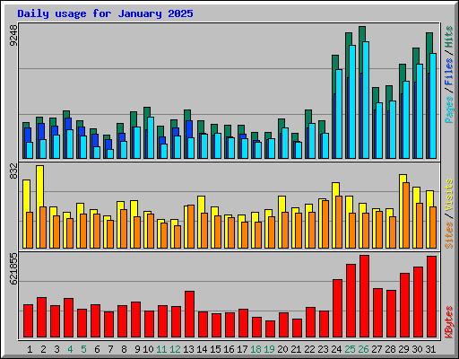 Daily usage for January 2025