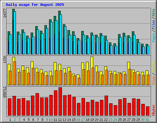 Daily usage for August 2025