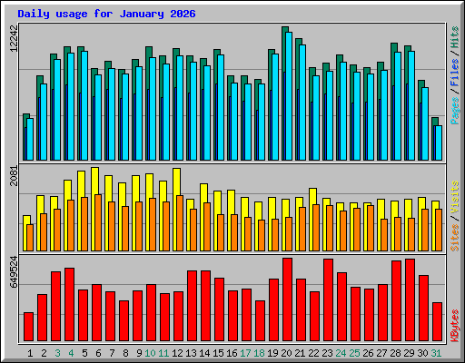 Daily usage for January 2026