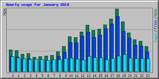 Hourly usage for January 2019