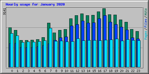 Hourly usage for January 2020