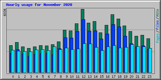 Hourly usage for November 2020