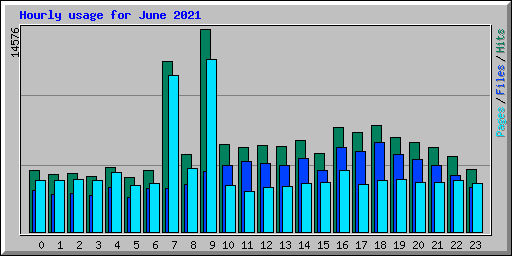 Hourly usage for June 2021