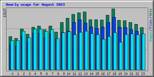 Hourly usage for August 2023