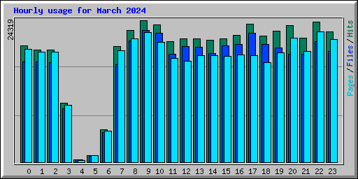 Hourly usage for March 2024