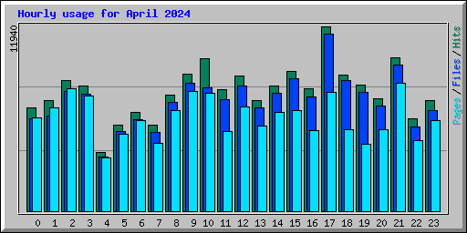 Hourly usage for April 2024