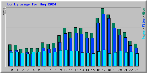 Hourly usage for May 2024