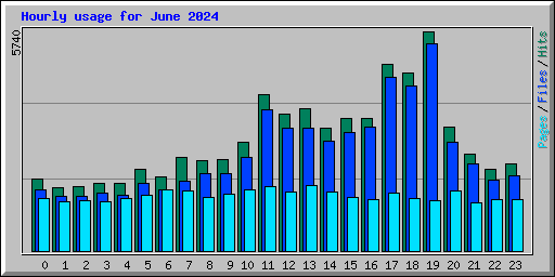 Hourly usage for June 2024