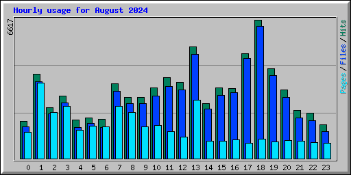 Hourly usage for August 2024