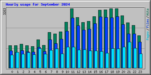 Hourly usage for September 2024