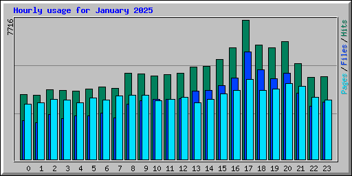Hourly usage for January 2025