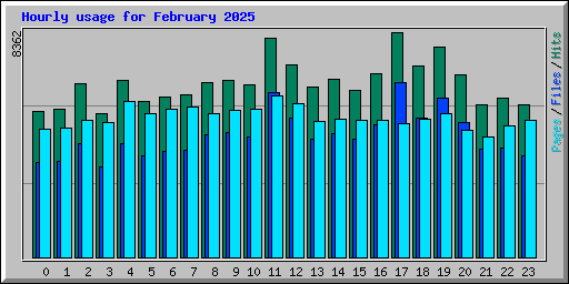 Hourly usage for February 2025