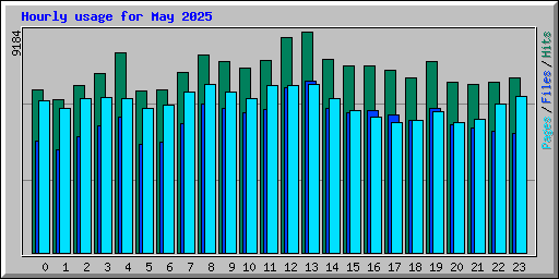 Hourly usage for May 2025