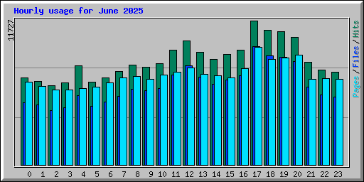 Hourly usage for June 2025