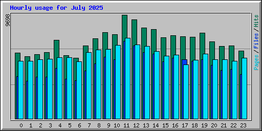 Hourly usage for July 2025