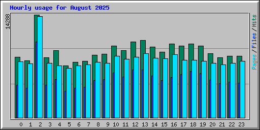 Hourly usage for August 2025