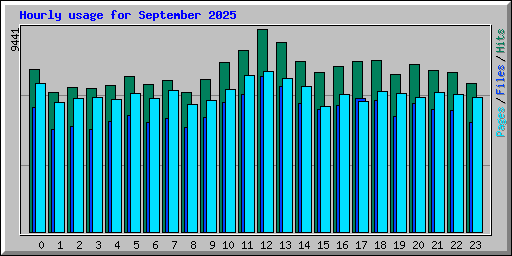 Hourly usage for September 2025