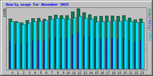 Hourly usage for November 2025