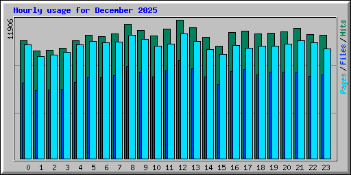Hourly usage for December 2025