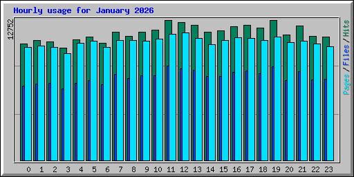 Hourly usage for January 2026