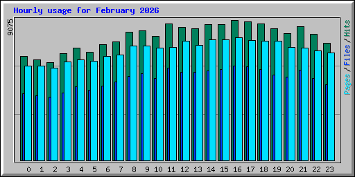 Hourly usage for February 2026