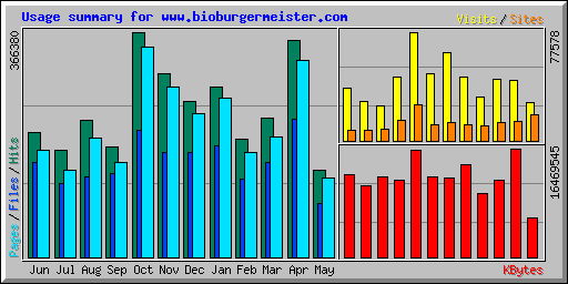 Usage summary for www.bioburgermeister.com